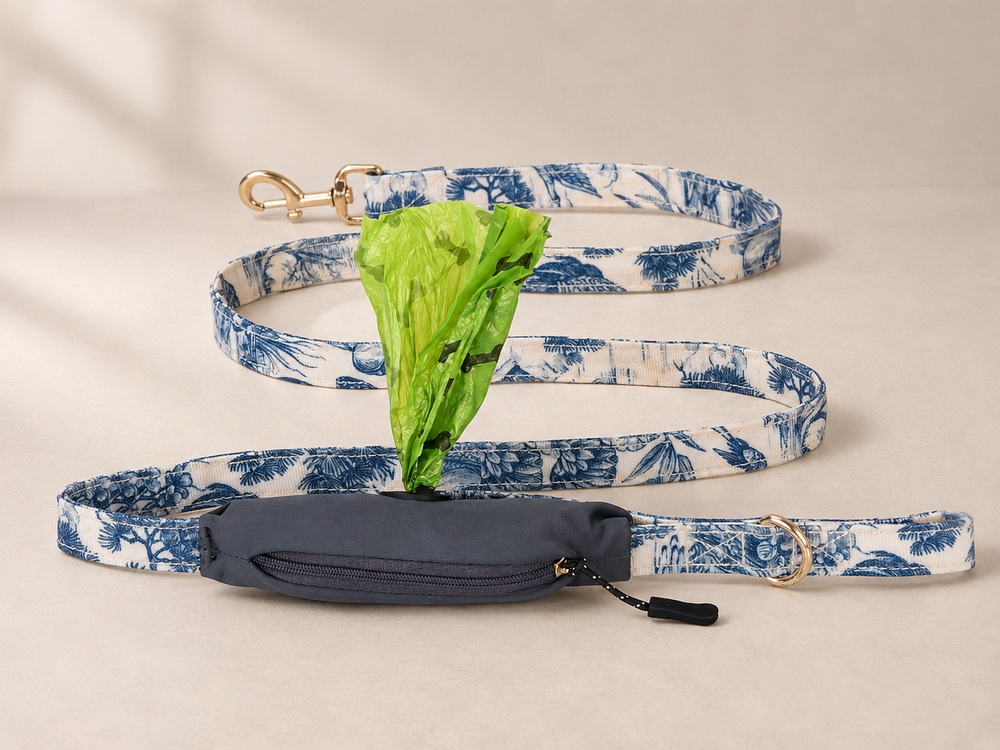 Mia Mor leash and collar on small dog — City Companion Set worn on a stylish city walk