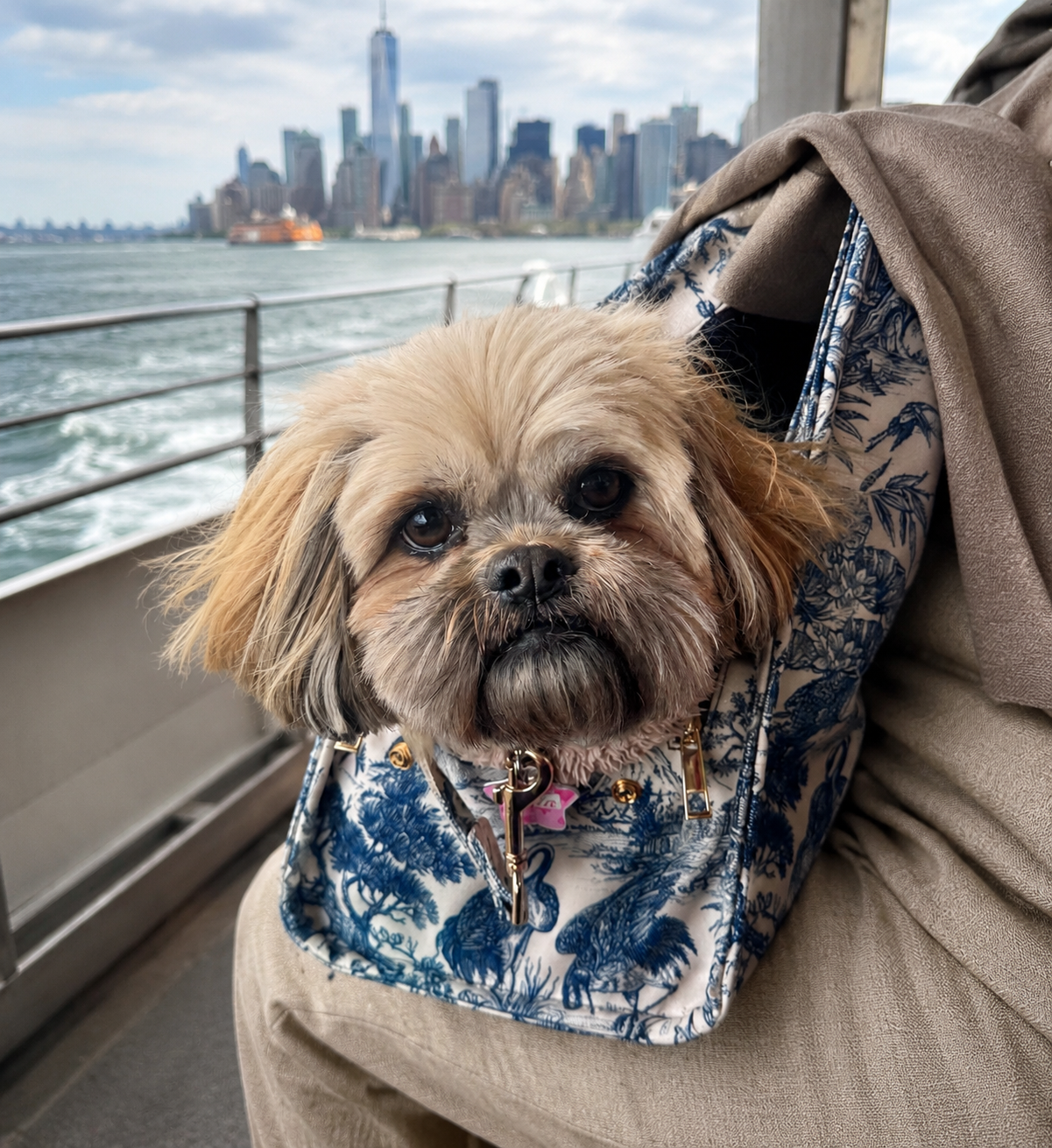 Mia Mor bag on ferry with dog — travel-ready convertible tote for adventures with your small dog